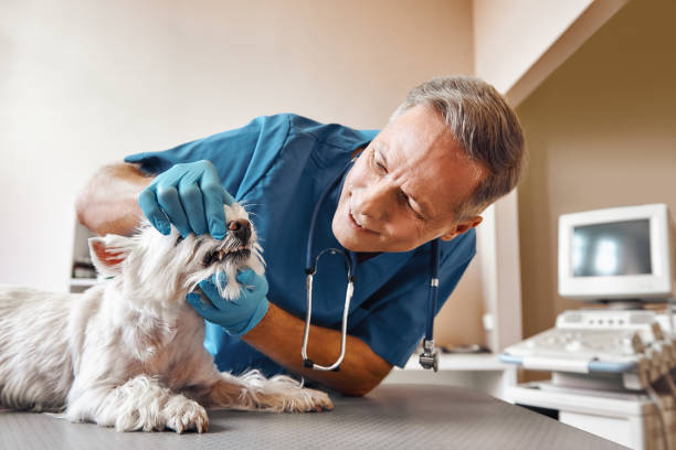 Best Emergency Dental Surgery in Bronte, TX